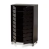 2 Door Ernest Brown Wood Shoe Storage Cabinet Dark Brown - Baxton Studio