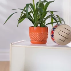 Guidecraft EdQ 2-Shelf Open Storage - 24" 8 Guidecraft EdQ 2-Shelf Open Storage - 24" -Storage Specialty Store GUEST 862cca7d d1d0 4c13 9160 88377d7da020