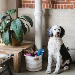 Midlee Dog Toy Rope Cotton Basket -Storage Specialty Store GUEST f83d9c22 45a6 46c1 94a8 77b92bdeb646